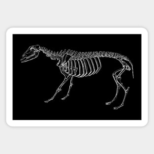 Sheep Skeleton Sticker